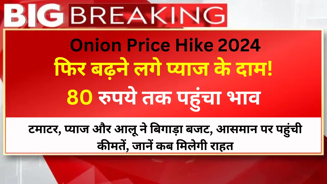 Onion Price Hike 2024